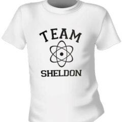 Футболка Big Bang Theory Team Sheldon