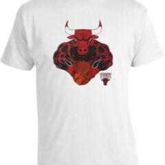 Футболка Chicago Bulls Angry