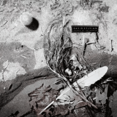 David Sylvian ‎– Secrets Of The Beehive